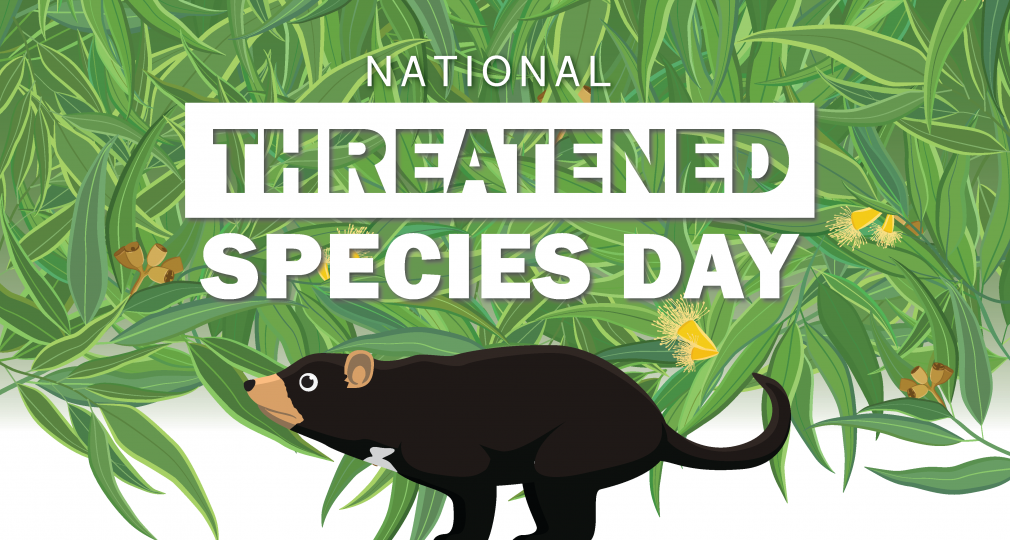 Threatened. Special Day. Protect endangered species stop Hunting. Special Day today.