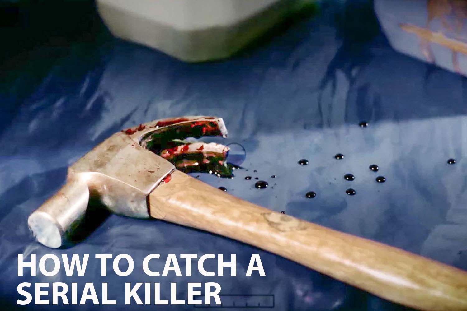 How To Catch A Serial Killer: UK crime, investigation, ethics