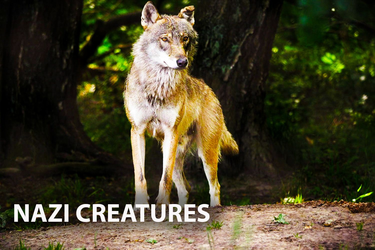 Nazi Creatures: exploitation of nature for power