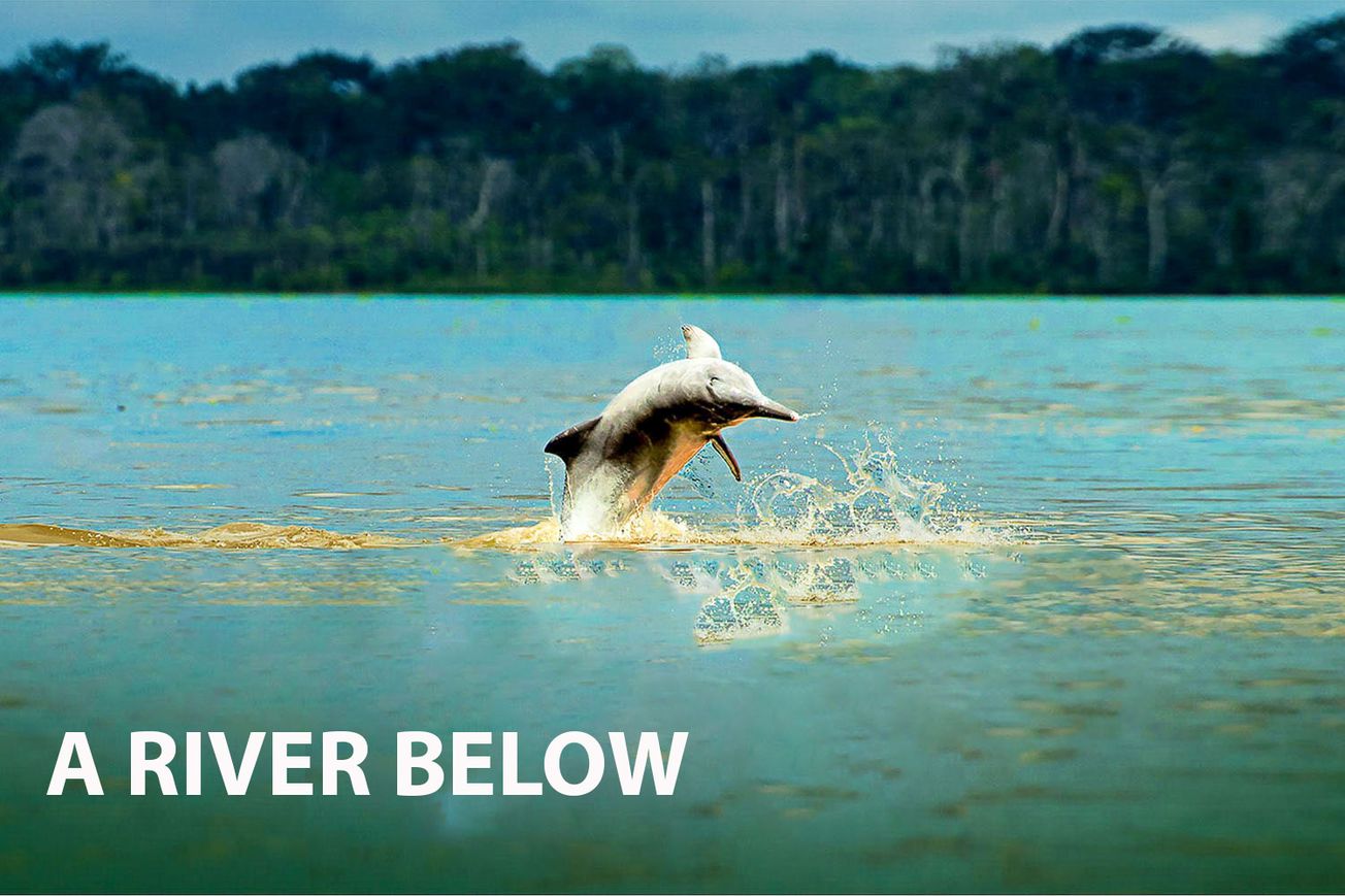 A River Below: Unveiling the Complexities of the Amazon