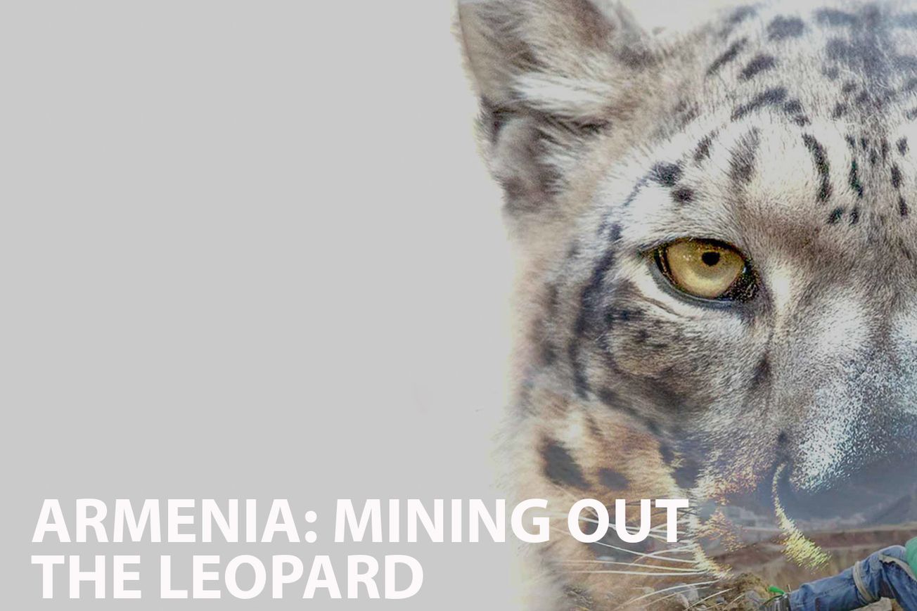A Review of "Armenia: Mining Out the Leopard"