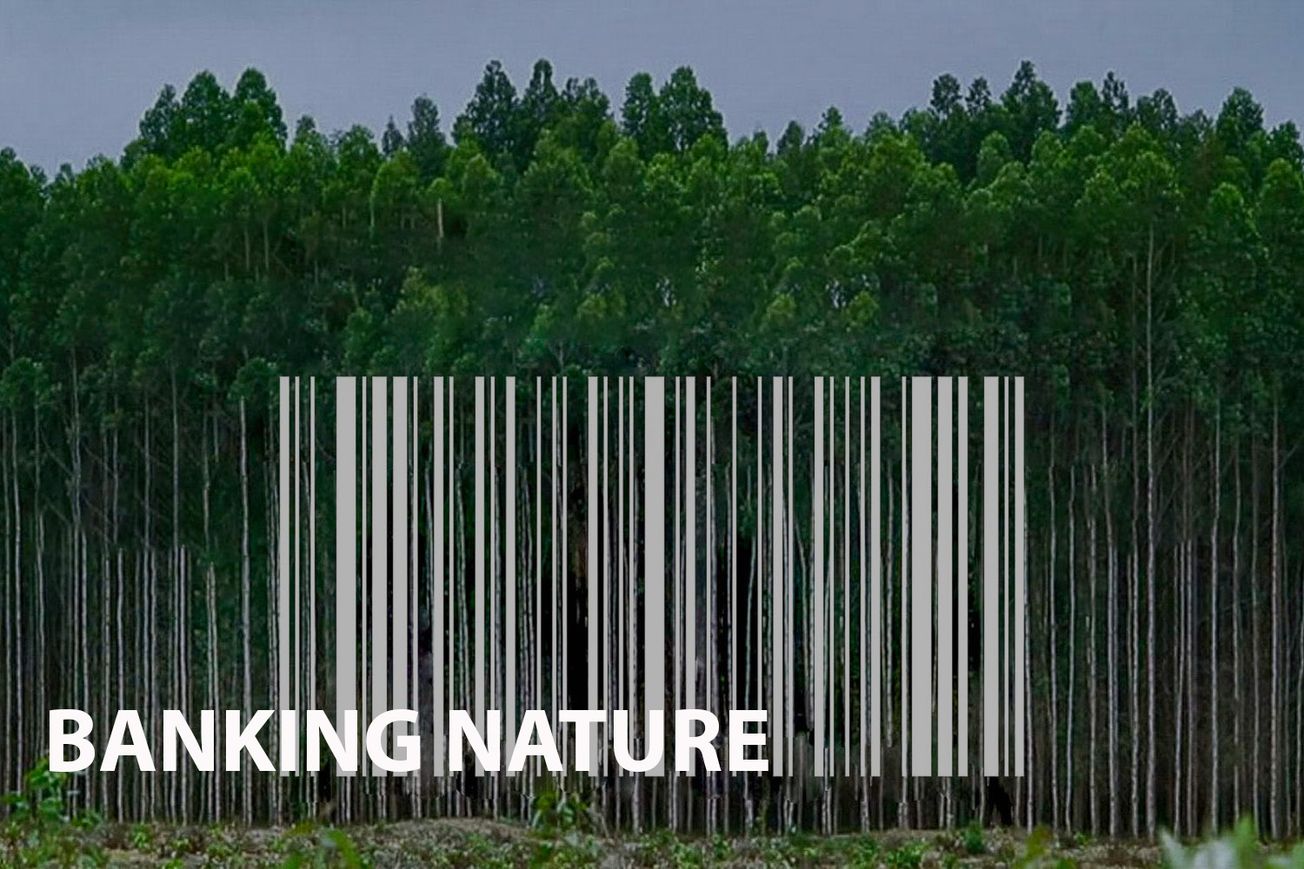 Banking Nature: A Deep Dive into the Business of our Planet