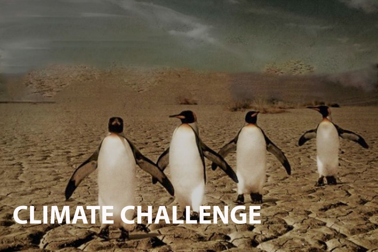 Going on a global journey with Climate Challenge