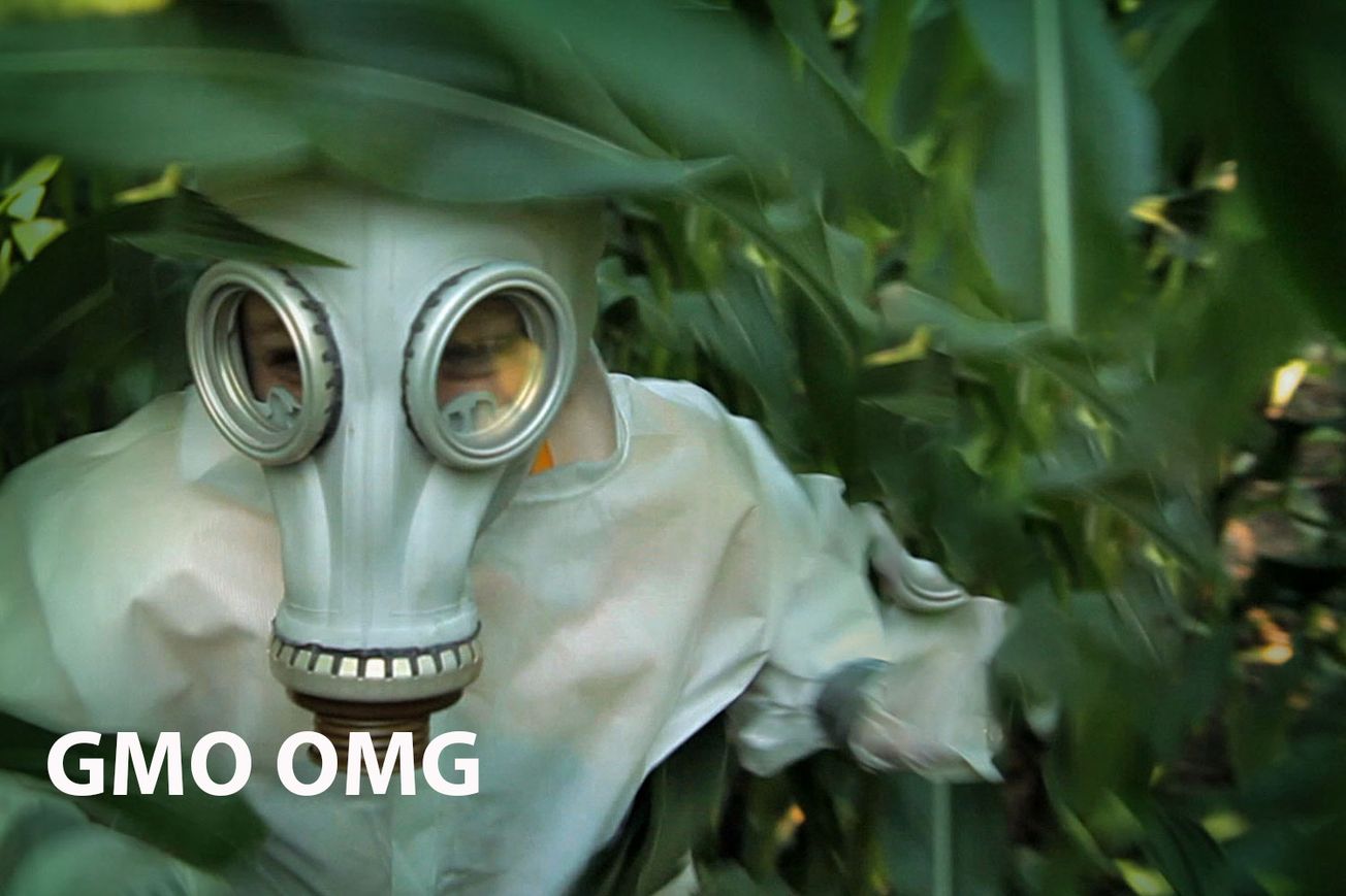 GMO OMG: Unearthing the Truth About Our Food