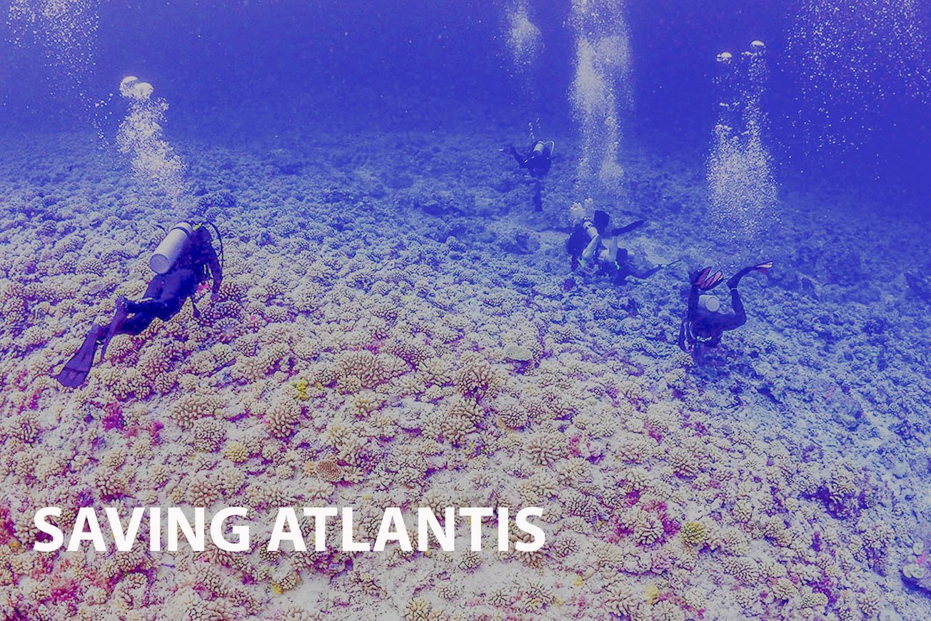 Unmasking the Global Coral Crisis: A Deep Dive into Saving Atlantis
