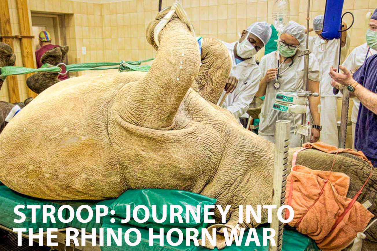 Stroop: Journey into the Rhino Horn War - Exploring Wildlife Crime