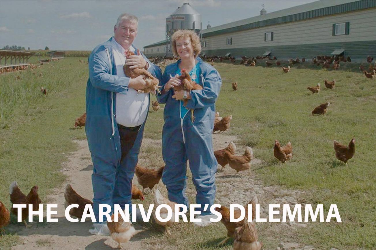 The Carnivore's Dilemma: A Deep Dive into the Complexities of Industrialised Farming