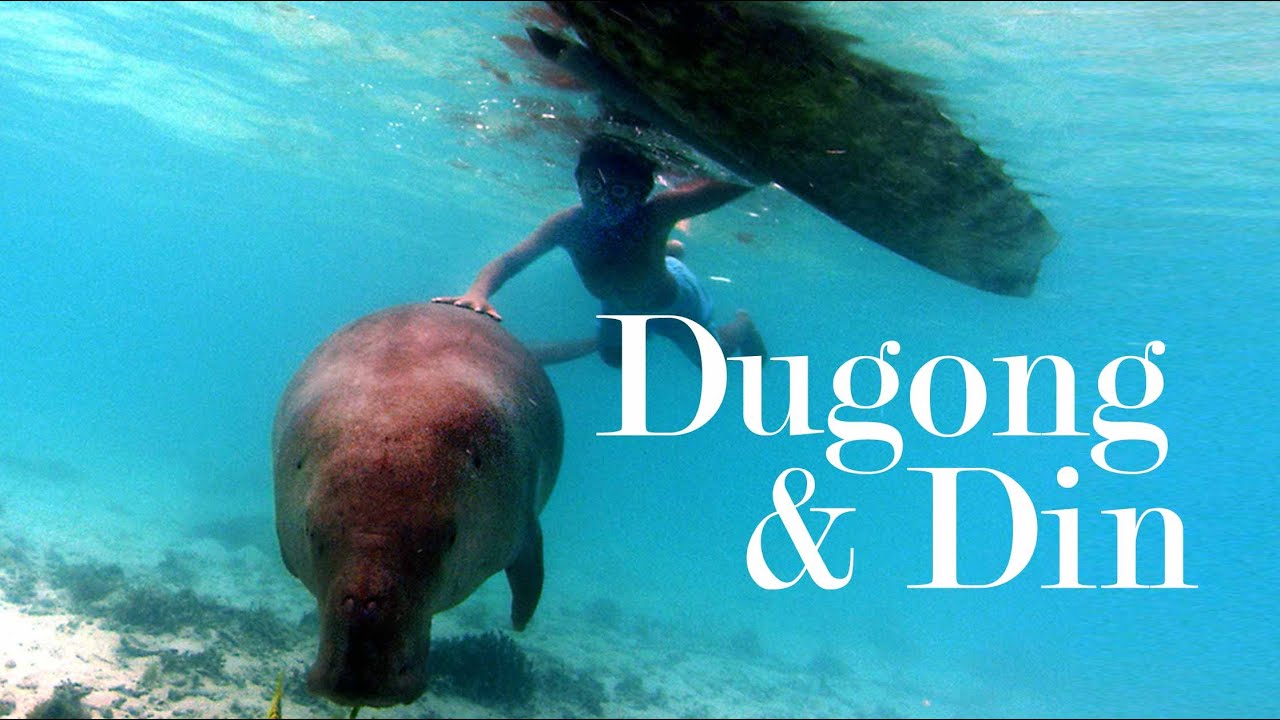Make Sure You Catch These 4 Animal Documentaries