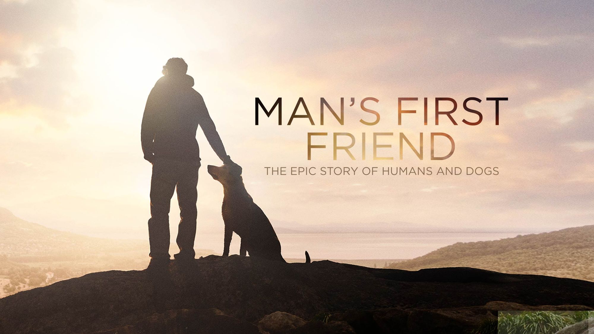 Man’s First Friend: Explore How Dog and Man Evolved Together to Become Best Friends.