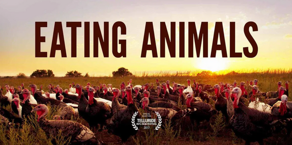 Eating Animals – “one of the key documentaries of our time”