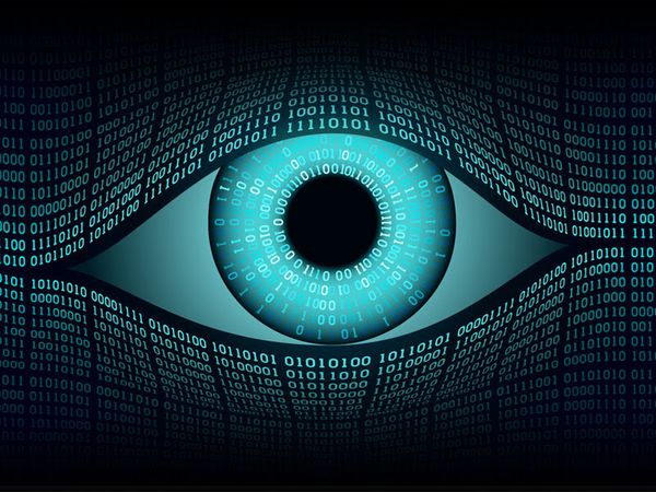 Living in a Surveillance Society: Is Big Brother watching you?