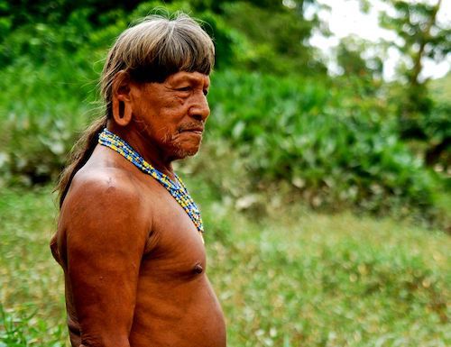 5 Nature Documentaries to Help You Reconnect with Mother Earth
